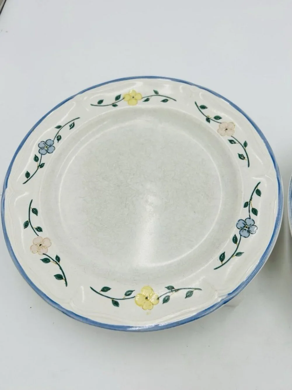 The Cellar Odette Floral Dinner Plates 10.5